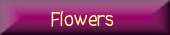 Flower graphics