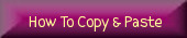 How to copy & Paste Codes